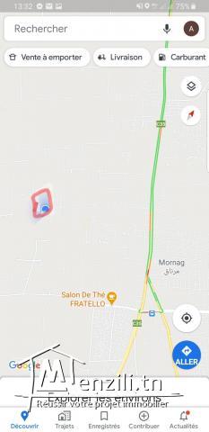 ارض فلاحية مرناق