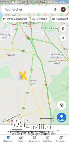 ارض فلاحية مرناق