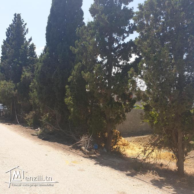 ارض فلاحية مرناق