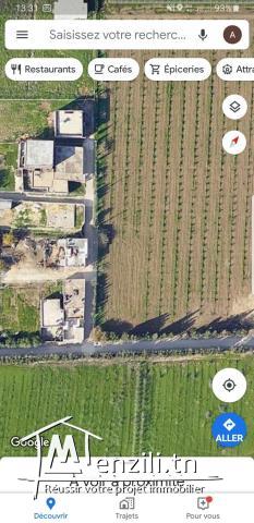 ارض فلاحية مرناق