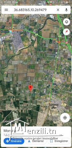 ارض فلاحية مرناق