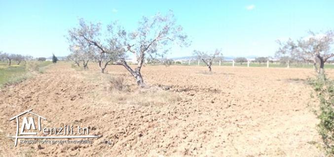 terrain d'un hec et 6000m