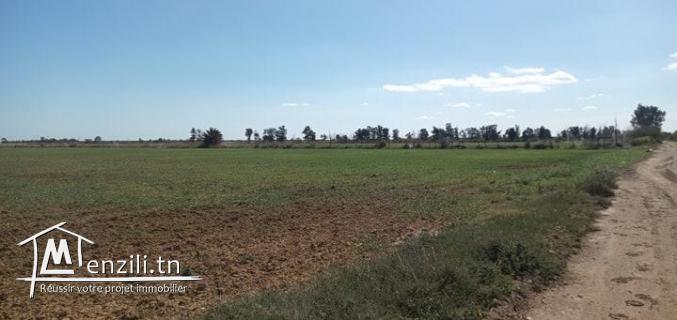 terrain d'un hec et 6000m