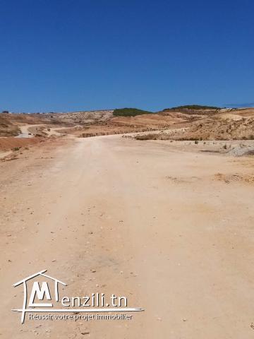 terrain a vendre Ennasr 2 pour Investisseurs