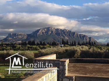 Mornag : Terrain à Vendre