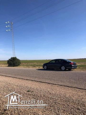 Lots de terrain titrés de 15000 m² à Sidi el Heni