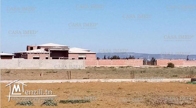 Promotion: terrain à 19800 DT à 5 km de yassmine Hammamet ☎ 29.232.582