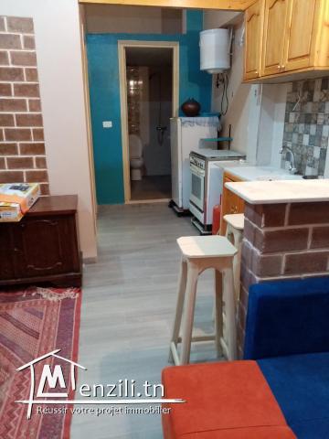 Studio s+1 meublé, proche de toutes commodités