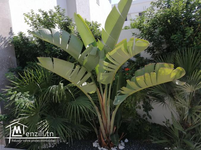 S+3 a vendre a chotrana1