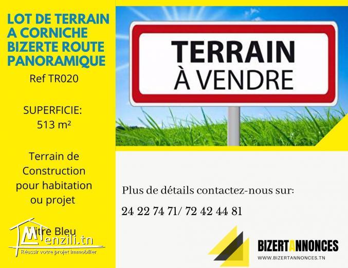 Un Lot de terrain de construction pour Habitation ou Projet