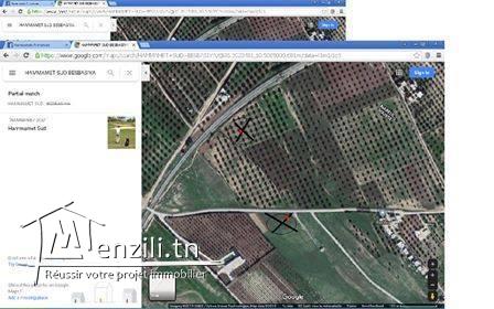 terrain à vendre fil besbasiya région Hammamet sud