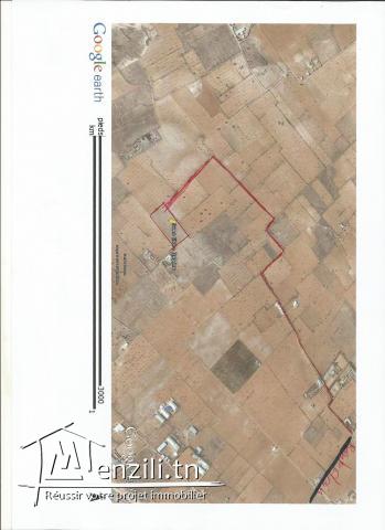 14 قطعة أرض طريق العين كلم