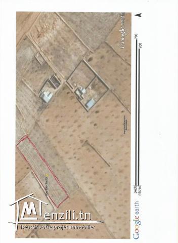 14 قطعة أرض طريق العين كلم