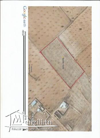 14 قطعة أرض طريق العين كلم