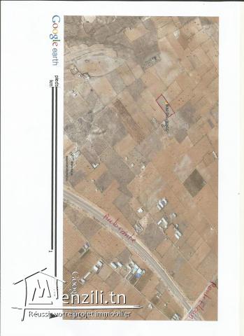 14 قطعة أرض طريق العين كلم