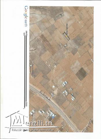 14 قطعة أرض طريق العين كلم