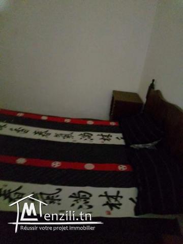 Villa prestigieuse pour étudiant