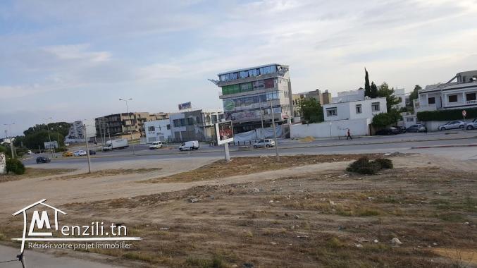 Terrain a la cité des pins la marsa