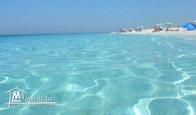 appartement haut standing