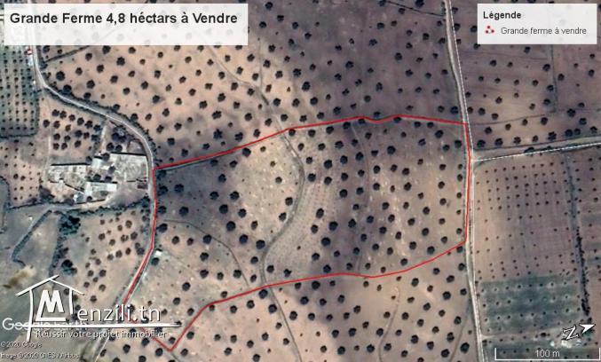 Terrain Agricole de 4,8 ha à vendre