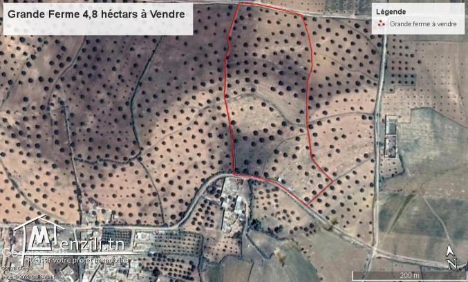 Terrain Agricole de 4,8 ha à vendre