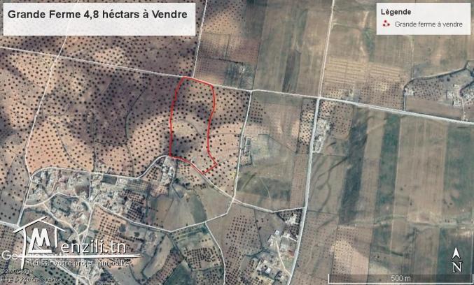 Terrain Agricole de 4,8 ha à vendre