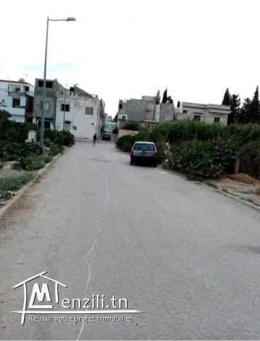 بالعقبه أرض للبيع مساحتها 175 متر مربع