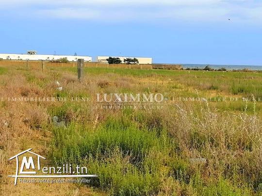 Terrain à vendre à kélibia 27711280