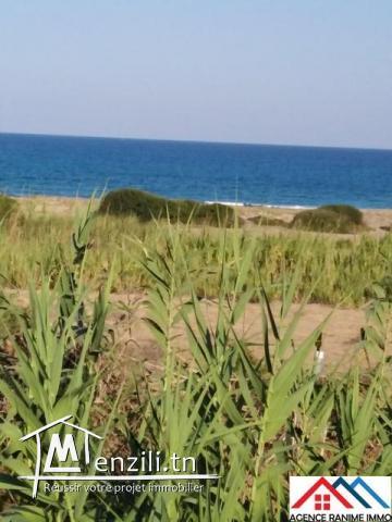 3lots des terrains de 216 m2 a la plage