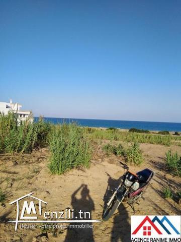 3lots des terrains de 216 m2 a la plage