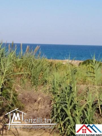 3lots des terrains de 216 m2 a la plage