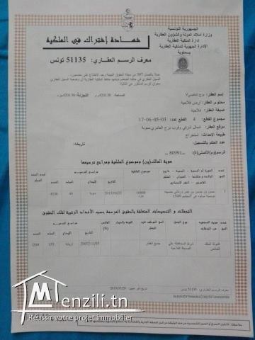 Terrain nu de 1 hectare constructible