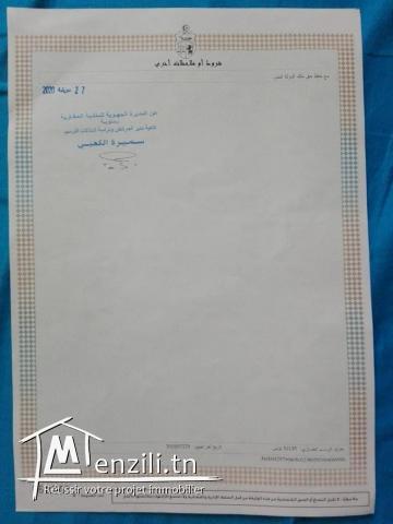 Terrain nu de 1 hectare constructible