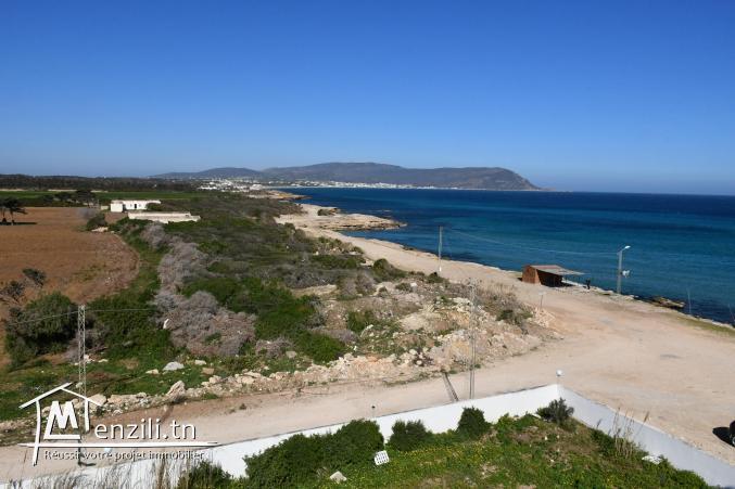 offre spéciale terrain pieds dans l'eau