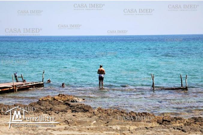 terrain à vendre d'une superficie de 217m² à kerkouan kélibia