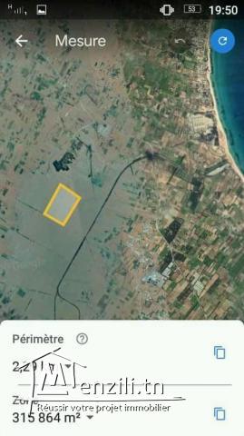 أرض للبيع في الهوارية المساحة 16   هكتار 