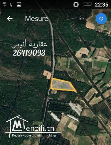 للبيع 4 اربع هكتارات و نصف في بو كريم