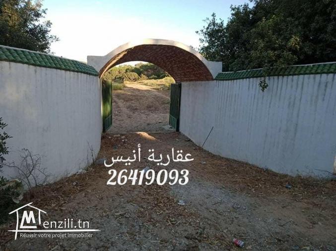 للبيع 4 اربع هكتارات و نصف في بو كريم