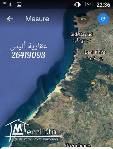 للبيع 4 اربع هكتارات و نصف في بو كريم