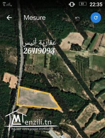 للبيع 4 اربع هكتارات و نصف في بو كريم