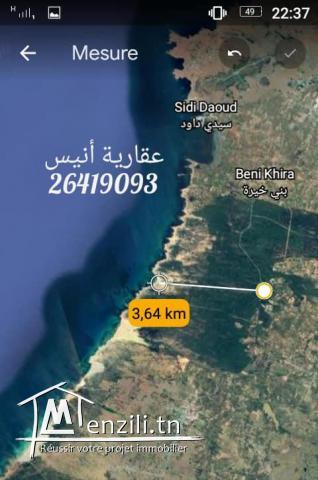 للبيع 4 اربع هكتارات و نصف في بو كريم