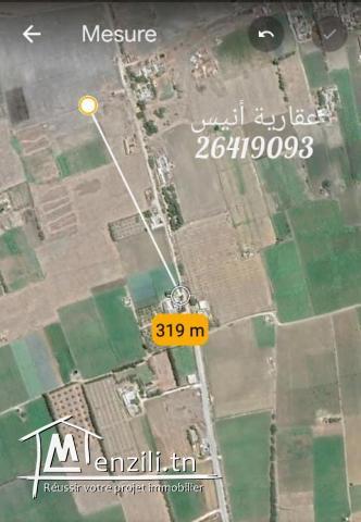 هكتار و نصف للبيع في ابان الهواريه