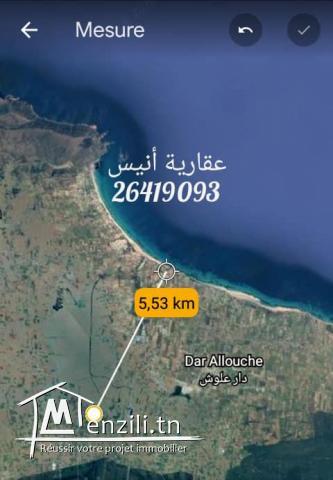 هكتار و نصف للبيع في ابان الهواريه