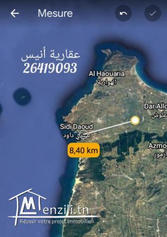 هكتار و نصف للبيع في ابان الهواريه