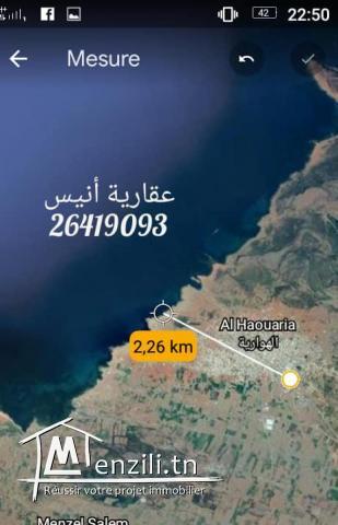 terrain a vendre de 300 m2 à hawaria 