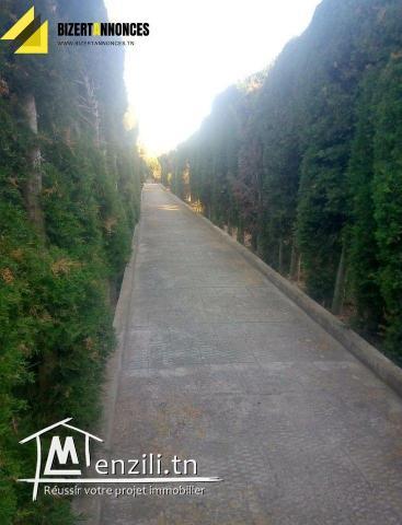 à vendre Firma à Al-Alaya