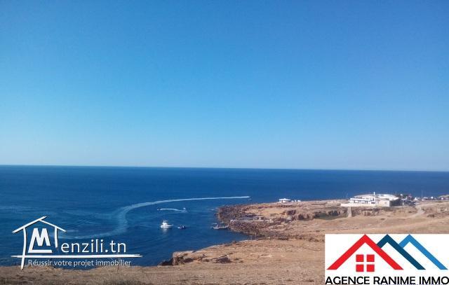 Terrain de 762m2 a la mer d’el haouaria cap bon