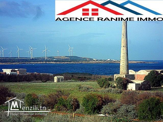 Terrain de 762m2 a la mer d’el haouaria cap bon