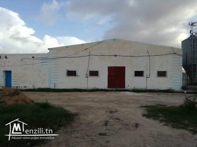 مدجنة بيض للبيع