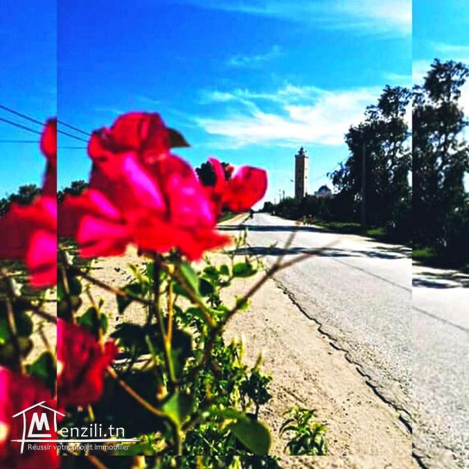 Terrain 175m² en promotion à Hammamet